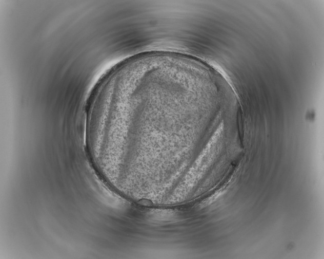 X0000089971123200707202005