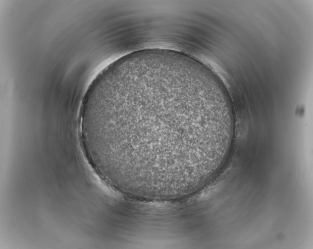 X0000089971125200707202005