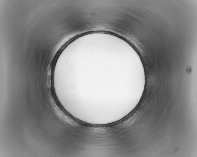 X0000089971126200707202005