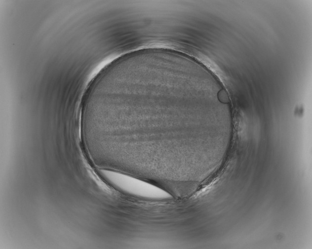 X0000089971127200707202005