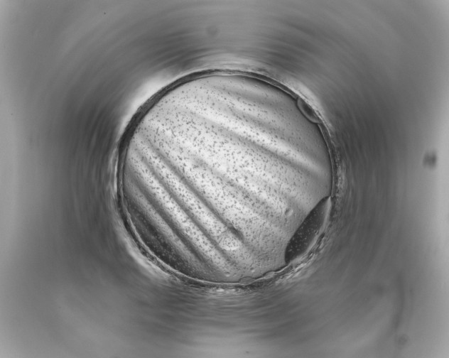 X0000089971128200707202005