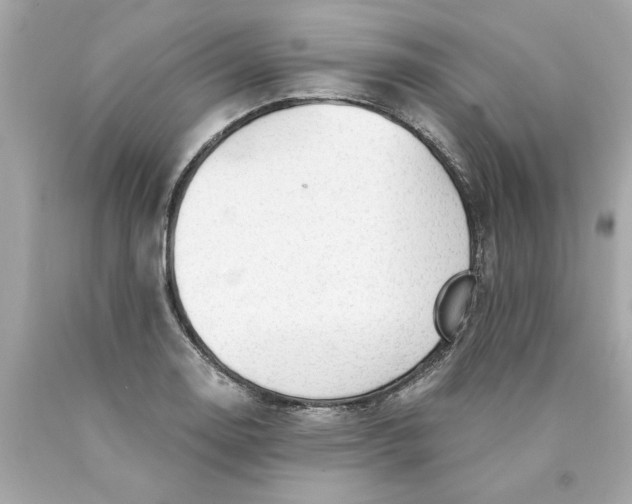 X0000089971130200707202005