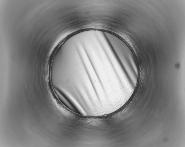 X0000089971131200707202005