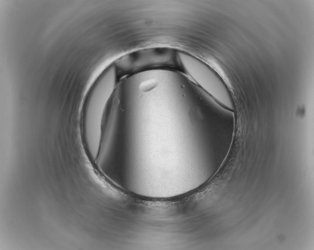 X0000089971132200707202005