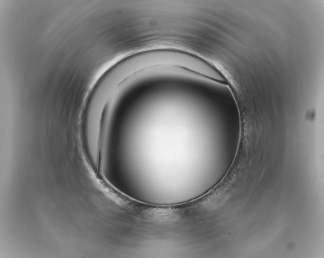 X0000089971134200707202005