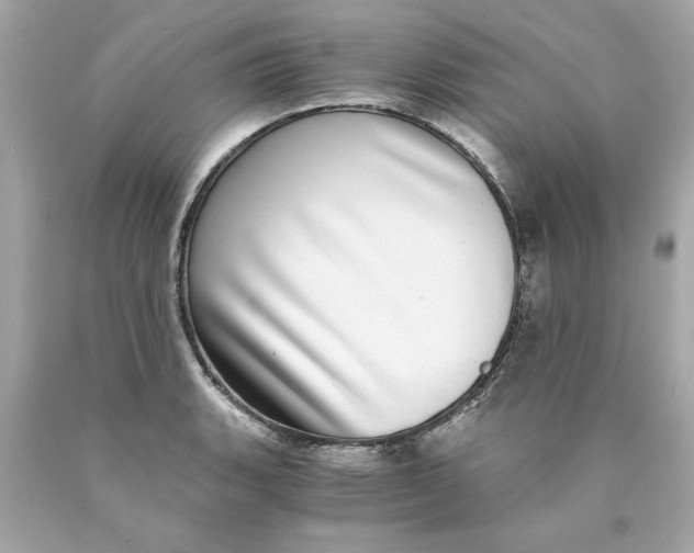 X0000089971135200707202005