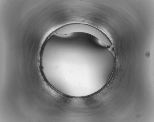 X0000089971136200707202005