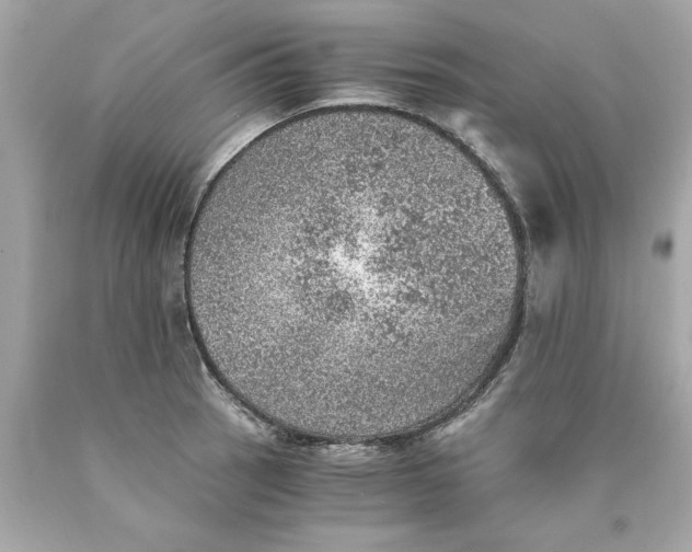 X0000089971137200707202005