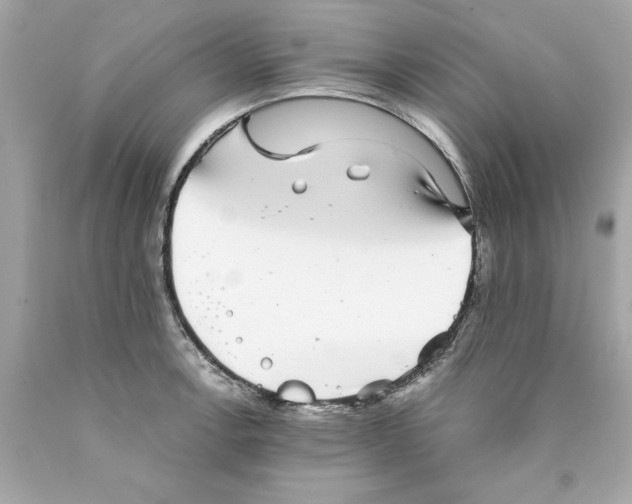 X0000089971138200707202005