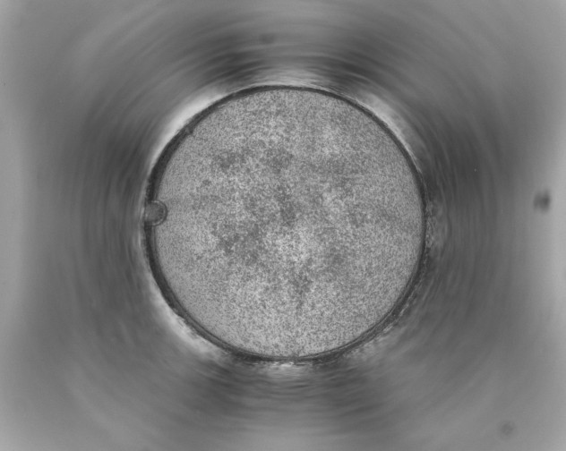 X0000089971139200707202005