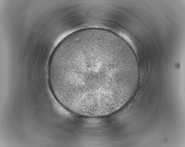 X0000089971141200707202005