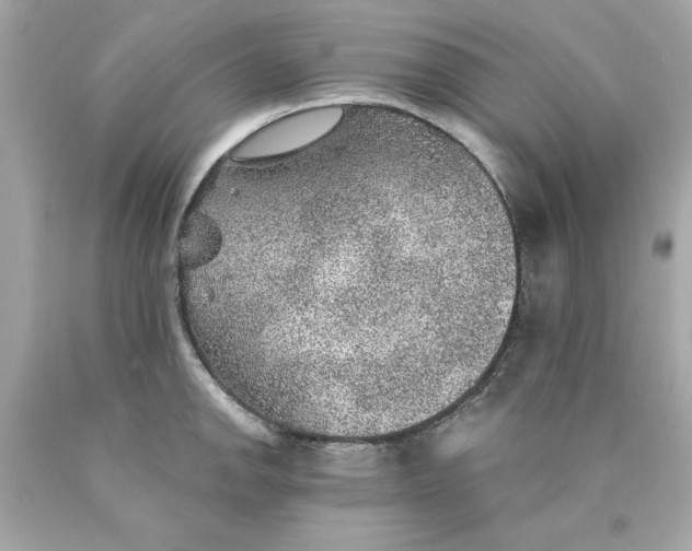 X0000089971142200707202005