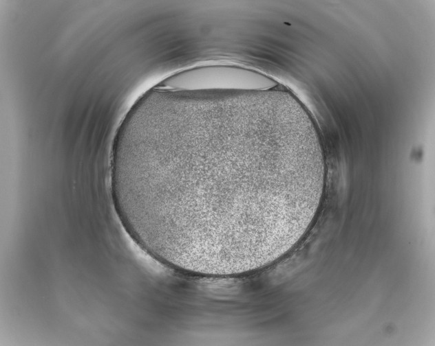 X0000089971143200707202005