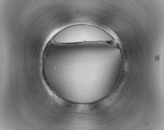 X0000089971144200707202005