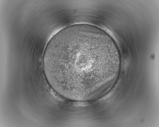 X0000089971145200707202005