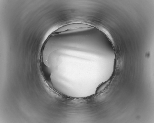 X0000089971146200707202005