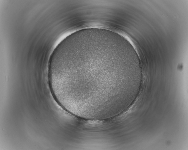 X0000089971147200707202005