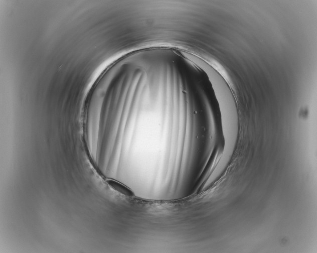 X0000089971148200707202005