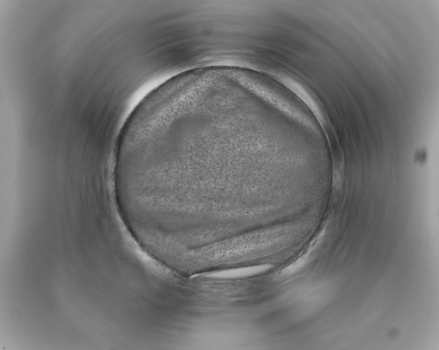 X0000089971149200707202005