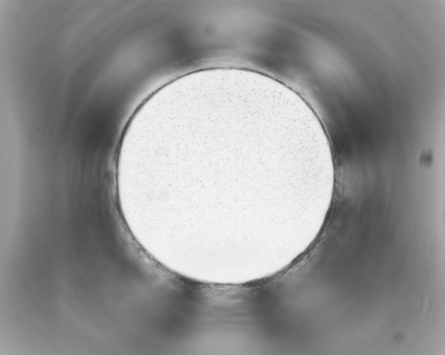 X0000089971150200707202005