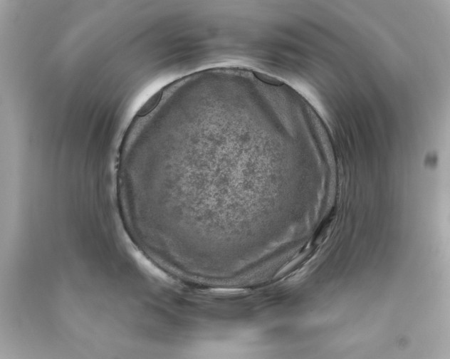 X0000089971151200707202005