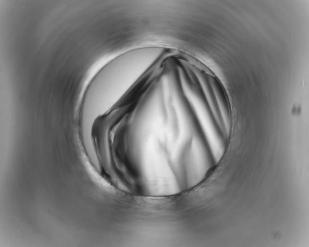 X0000089971152200707202005