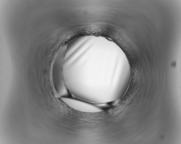 X0000089971153200707202004