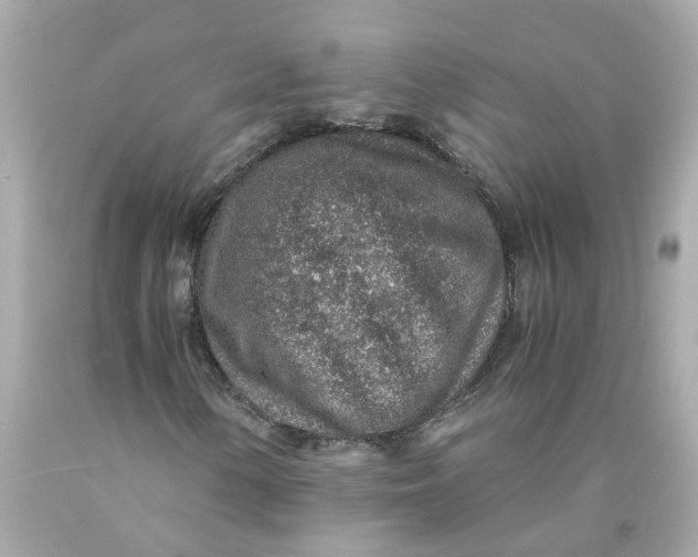 X0000089971154200707202004