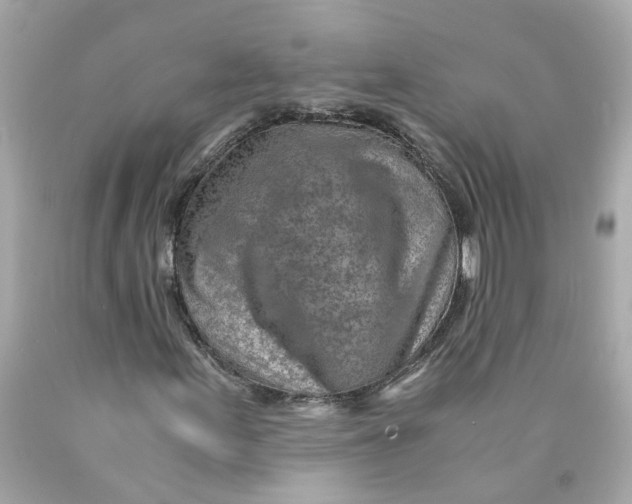 X0000089971155200707202004