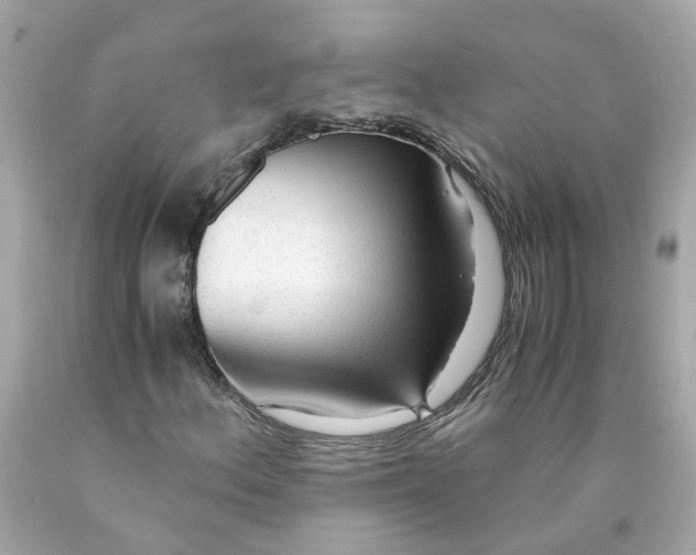 X0000089971156200707202004