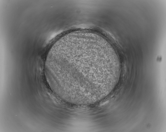 X0000089971158200707202004