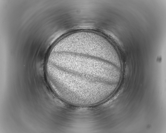 X0000089971162200707202004