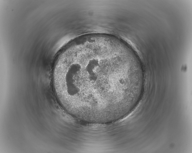 X0000089971163200707202004