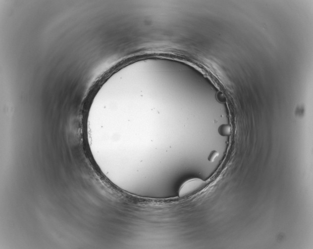 X0000089971164200707202004