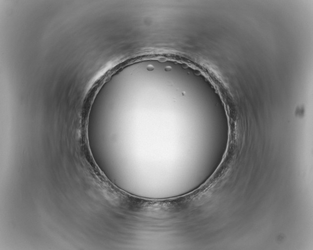 X0000089971165200707202004