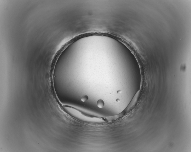 X0000089971168200707202004