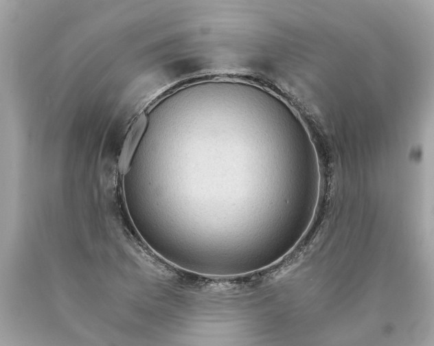 X0000089971169200707202004