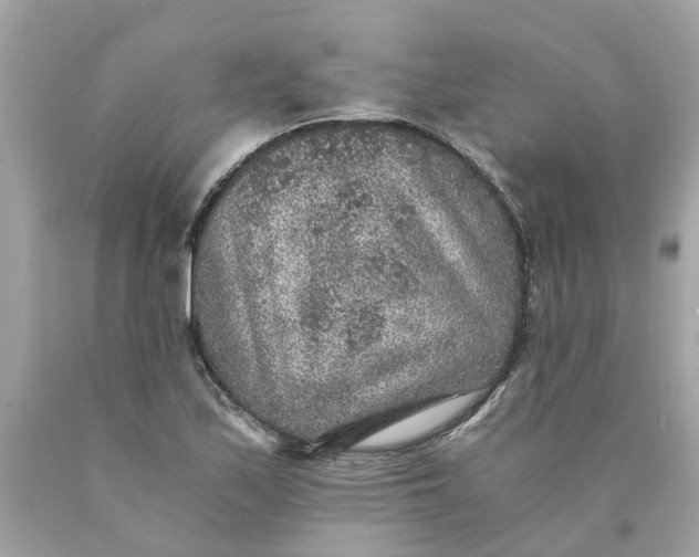 X0000089971171200707202004