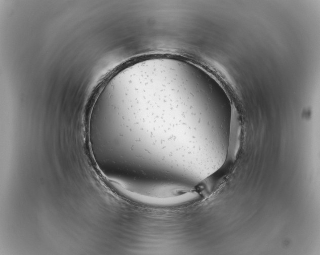 X0000089971172200707202004