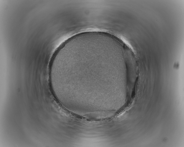 X0000089971173200707202004