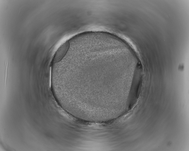 X0000089971175200707202004