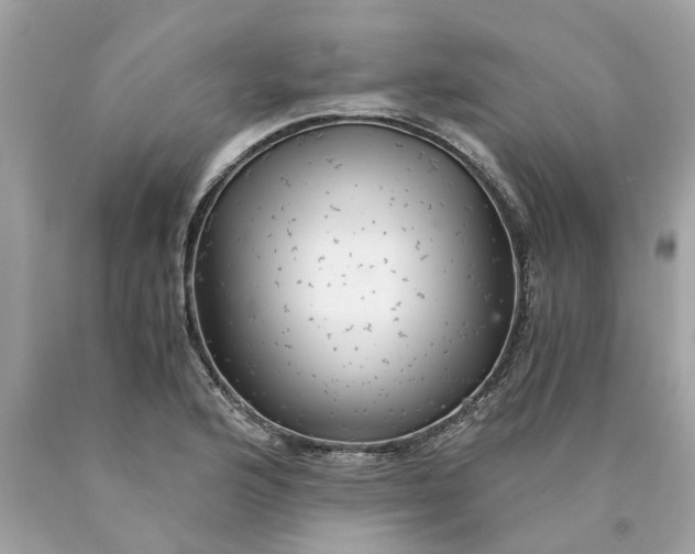 X0000089971176200707202004