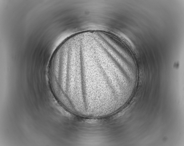 X0000089971182200707202004