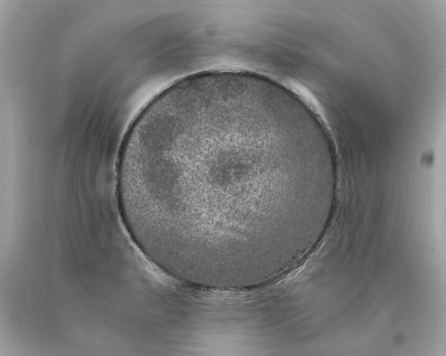 X0000089971183200707202004