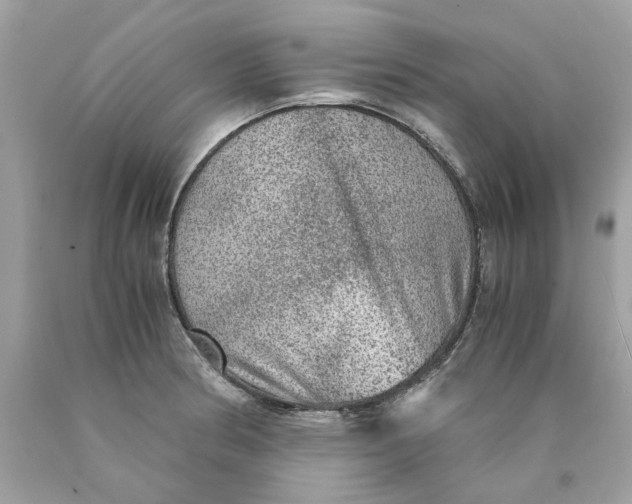 X0000089971186200707202004