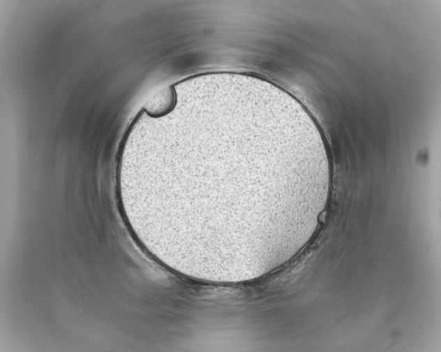 X0000089971187200707202004