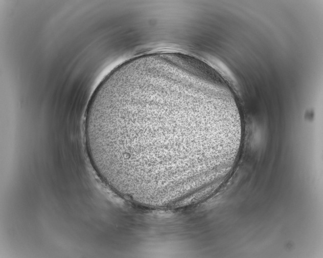 X0000089971190200707202004