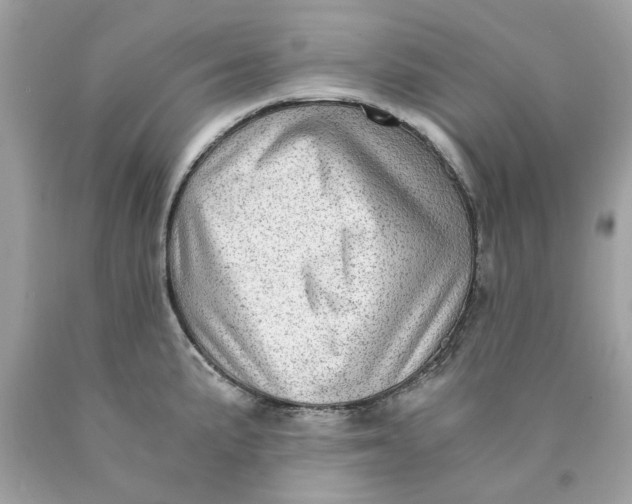 X0000089971191200707202004