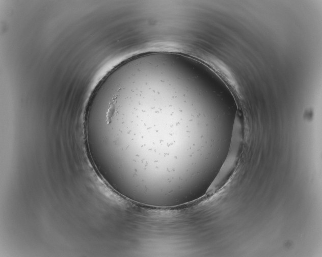 X0000089971192200707202004