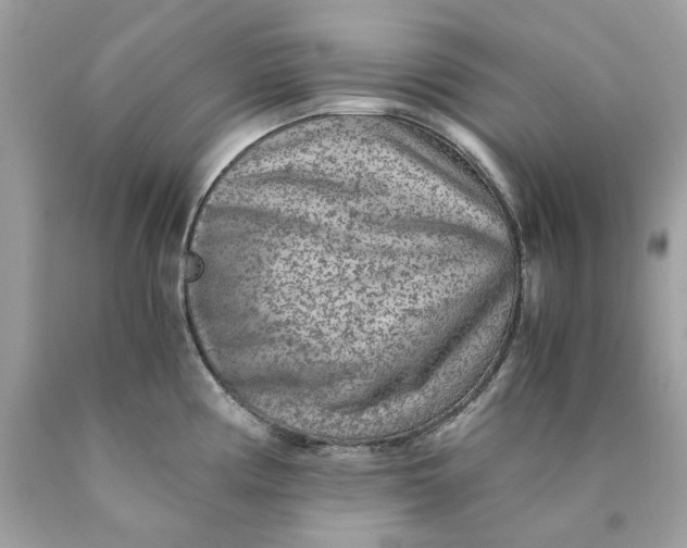 X0000089971194200707202004